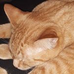 Profile Picture of Buddy  jones (@buddy_jdoll_baby) on Instagram