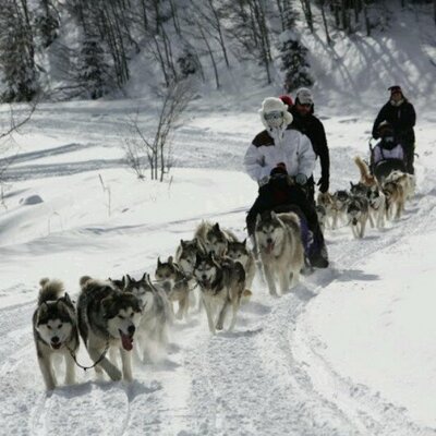 Profile Picture of Jason Parkin (@CookieMonstAr20) on Twitter