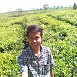 Profile Picture of Rudy David Chaniago (@chaniago4461) on Instagram