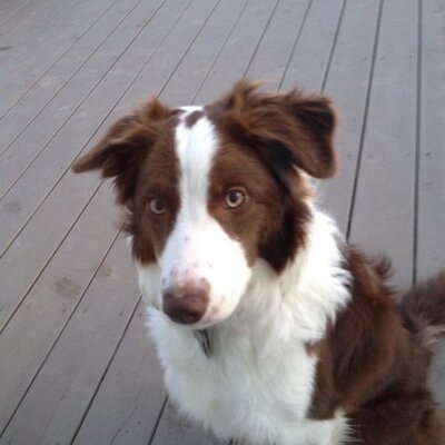 Profile Picture of Darryl Thomas (@dthomas2914) on Twitter