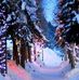 Profile Picture of Karoly Kantor (@karoly.kantor.794) on Facebook