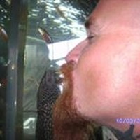 Profile Picture of Robert Rossa (@robert-rossa-1) on Quora