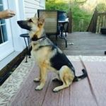 Profile Picture of Jerry Klein (@jerry.klein.587) on Instagram