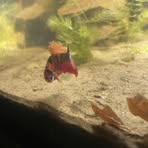 Profile Picture of Ben Scot (@Ben-Scot) on Facebook