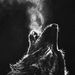 Profile Picture of Scott Rennert (@scottrennert) on Pinterest