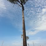 Profile Picture of Marcos Mars (@marcos.mars.2025) on Facebook