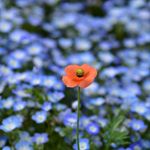 Profile Picture of corsan@z63 (@corsan.z63) on Instagram