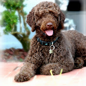 Profile Picture of April Calhoun (@aprilcalhoun7900) on Youtube