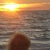 Profile Picture of Diane Reeser McCrum (@diane.r.mccrum) on Facebook