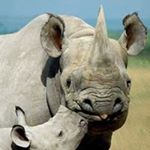 Peter Mercier - Instagram Profile Picture of Peter Mercier (@mercier_peter) on Instagram