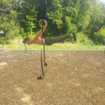 Profile Picture of Philip Friedel (@phil_p_f_) on Instagram