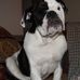 Profile Picture of Gary Leroy (@gary.leroy.79) on Facebook