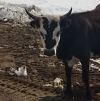 Profile Picture of Brady Powers (@Brady-Powers) on Facebook