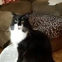 Profile Picture of Patty Tyler (@patty-tyler-3) on Quora