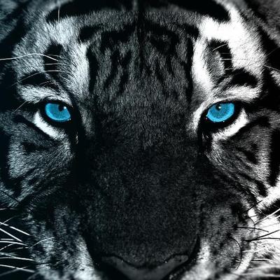 Profile Picture of James St-pierre (@JamesStPierre20) on Twitter