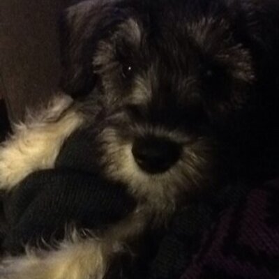 Profile Picture of V. Vanhercke (@h_vvh) on Twitter