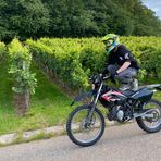 Profile Picture of Robin Traub (@robin.traub.35) on Facebook