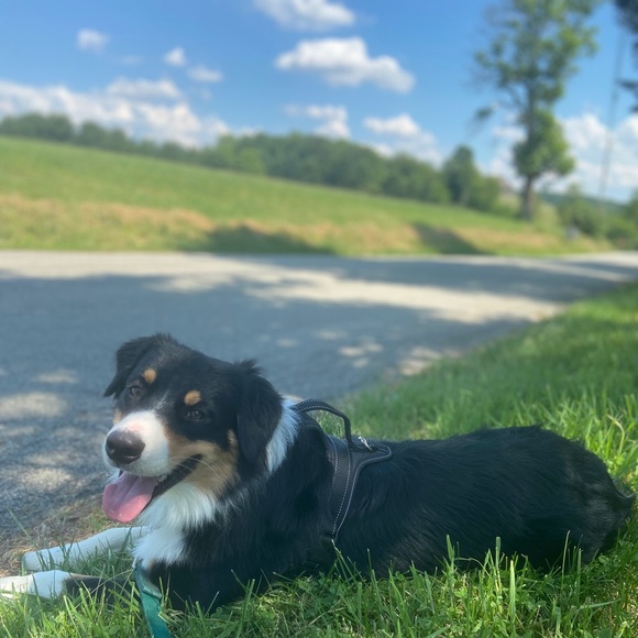 Profile Picture of Terry Faulk (@t_faulk) on Poshmark