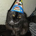 Profile Picture of Violetta Filyaur (@violettafilyaur) on Instagram