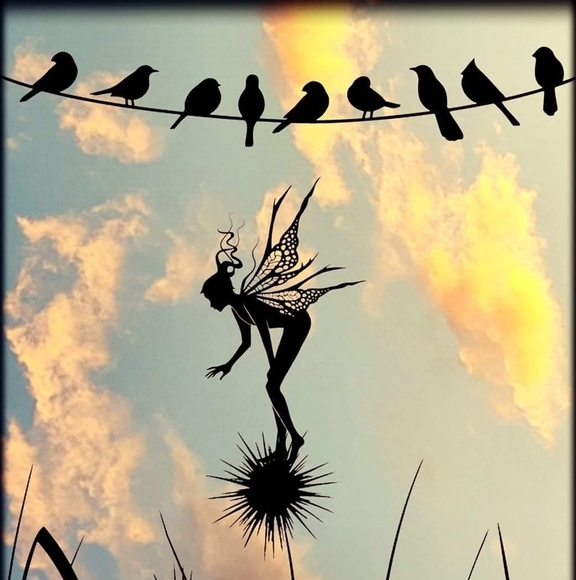 Profile Picture of Starlene Heusman (@420starlene) on Poshmark