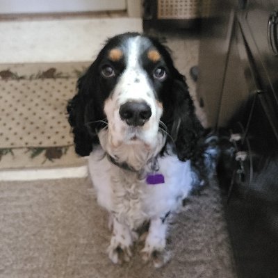 Profile Picture of Ken Fredricks (@fredricks_ken) on Twitter