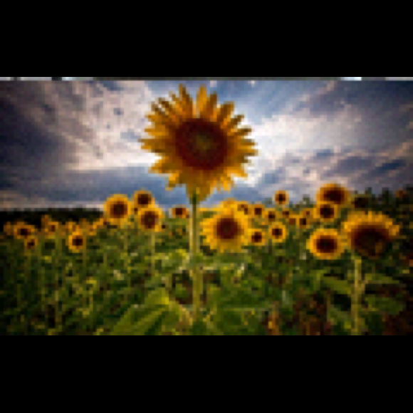 Profile Picture of Priah Kenty (@v4priah) on Poshmark