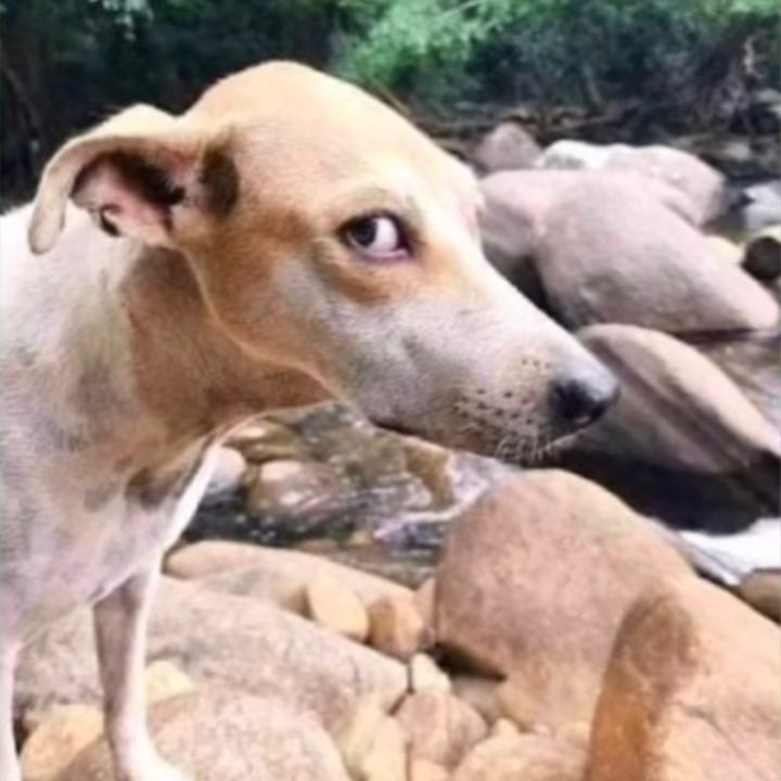 Profile Picture of gregboss.D (@gregboss.d) on Tiktok