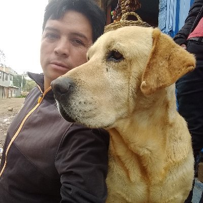 Profile Picture of Elmer Terrones Guevara (@ElmerterronesG1) on Twitter