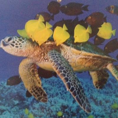 Profile Picture of Josh Arbuthnot (@arbuthnot_josh) on Twitter