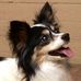 Profile Picture of Roy Knupp (@roy.knupp.7) on Facebook