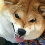 Profile Picture of Brooke Finley (@_edgy_rat_) on Instagram