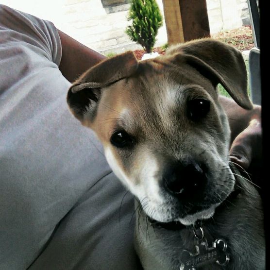 Profile Picture of Sonja Mc (@sonjamc2) on Tiktok