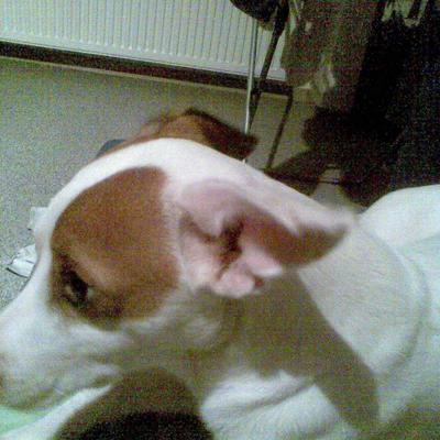 Profile Picture of Barbara Weiss (@MickyBarbara) on Twitter