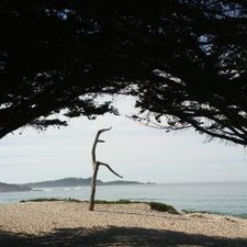 Profile Picture of J. Yu (@LukeYuLuxYou) on Twitter