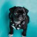 Profile Picture of Brendan Alvarez (@brendan.alvarez.50746) on Facebook
