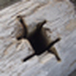 Profile Picture of Gunnar Nelson (@Andrew.Gunnar) on Flickr