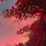 Profile Picture of Saima Ibrahim Soomro (@_saima_soomro) on Instagram