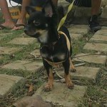 Rigoberto Martinez Ulloa - Instagram Profile Picture of Rigoberto Martinez Ulloa (@rigcan1977) on Instagram