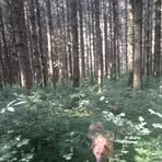 Profile Picture of Hubner Grégory (@hubner.gregory) on Facebook