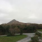 Profile Picture of Brad Holcomb (@brad_holcomb_75) on Instagram