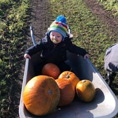 Profile Picture of Tom Geraghty (@tomgeraghty7) on Tiktok