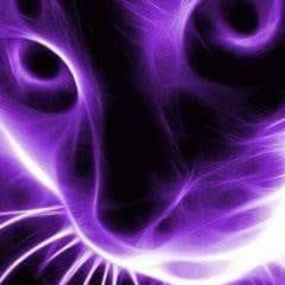 Profile Picture of Danielle Brutto (@rustydog101) on Poshmark