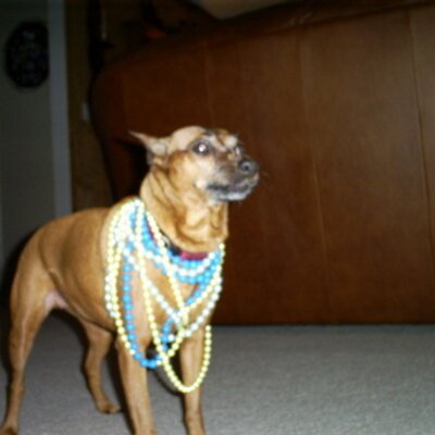 Profile Picture of Corey Rosen (@cdrosen2) on Twitter