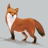 Profile Picture of Nir Nusinovich (@nir-nusinovich) on Quora