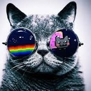 Profile Picture of Italo Ian Lezama Rimachi (@IanRimachi) on Twitter