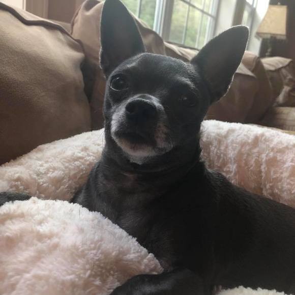 Profile Picture of Marlaina Ciociola (@marlainaciociol) on Poshmark