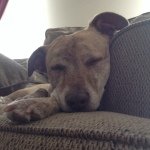 Profile Picture of Nicholas Piacenti (@anamathalia) on Instagram