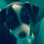 Profile Picture of Lillian Wiley (@lillianw652) on Instagram