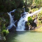 Luis Gualdron - Facebook Profile Picture of Luis Gualdron (@Luis-Gualdron) on Facebook