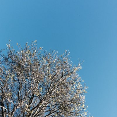 Halimah Alaydrus - Twitter Profile Picture of Halimah Alaydrus (@halimahalaydrus) on Twitter